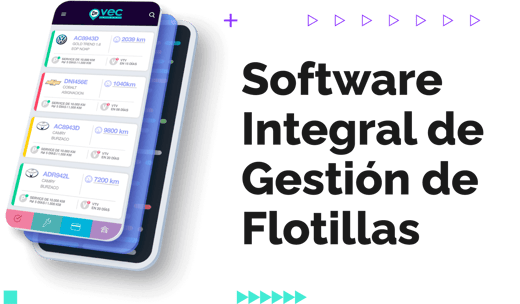 Software integral de gestion de flotillas